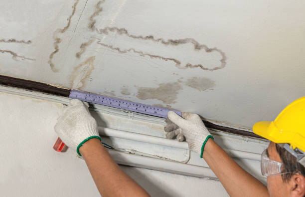 Reliable Structural Drying contractor in Whitehouse Station, NJ by Water Damage Irwin